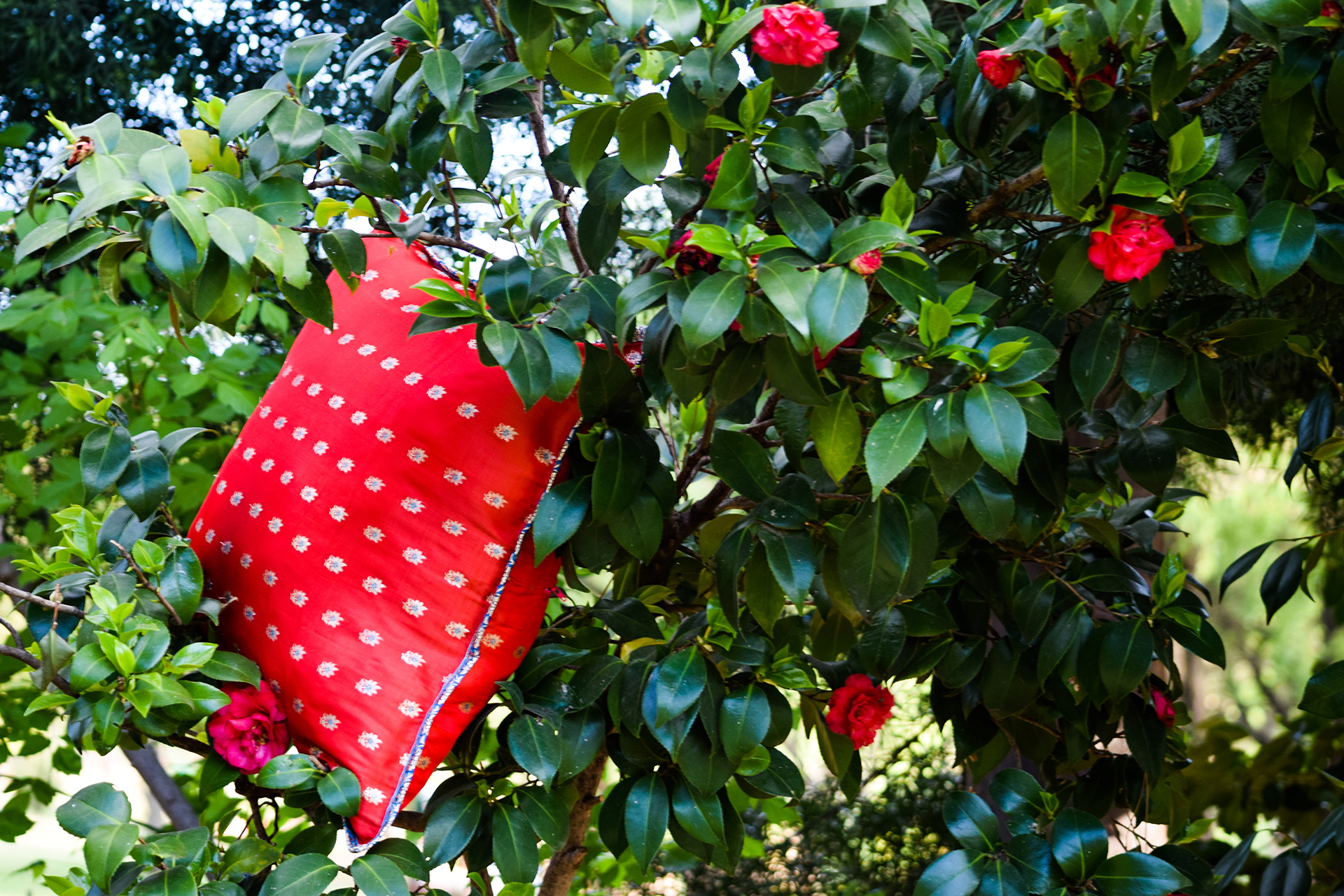 Scatter Cushion - Image 2