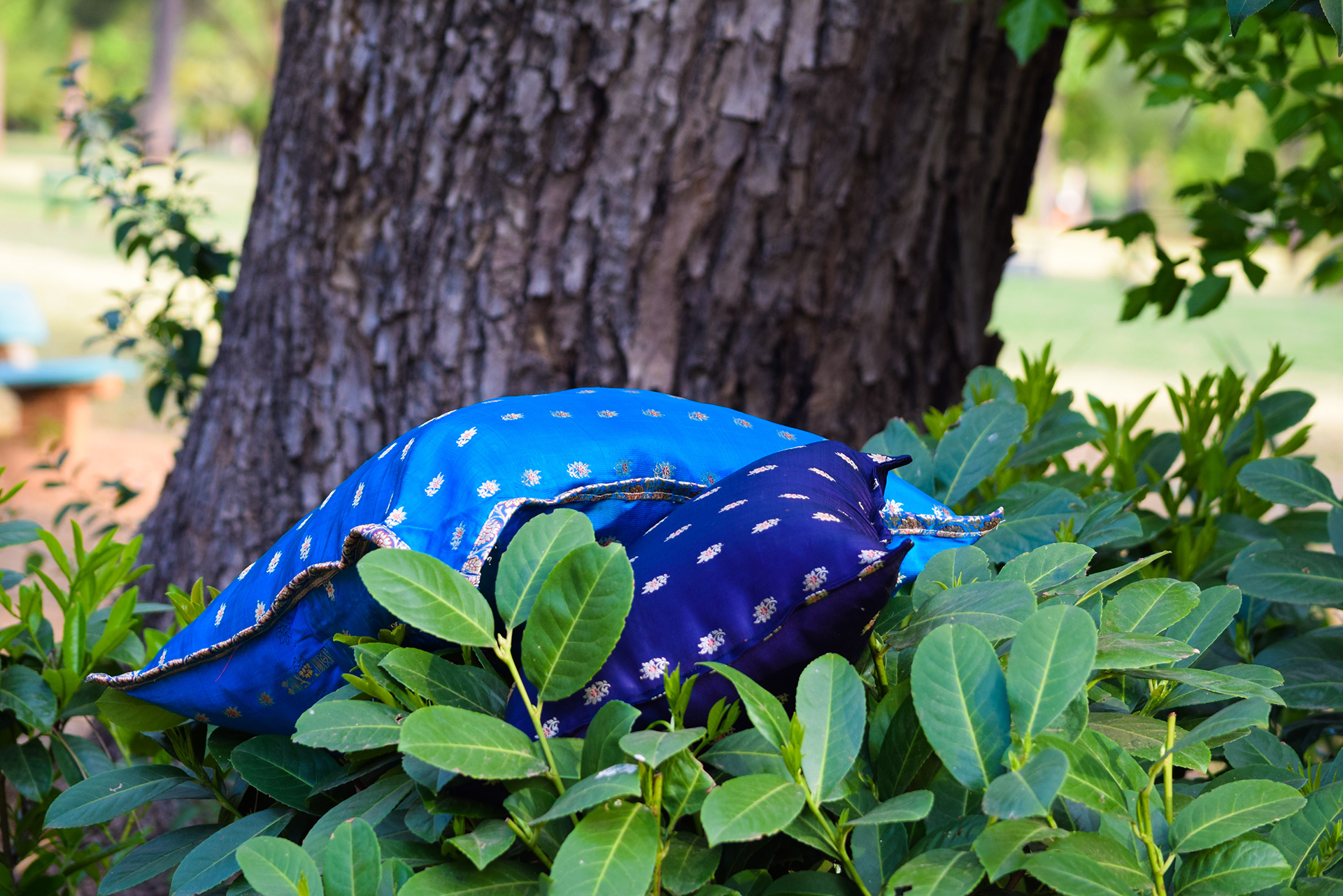 Scatter Cushion - Image 3