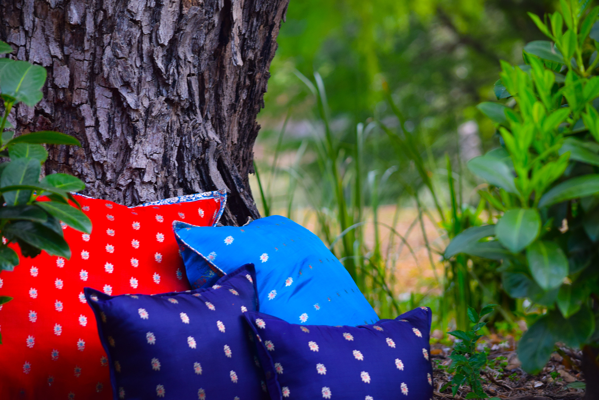 Scatter Cushion - Image 4