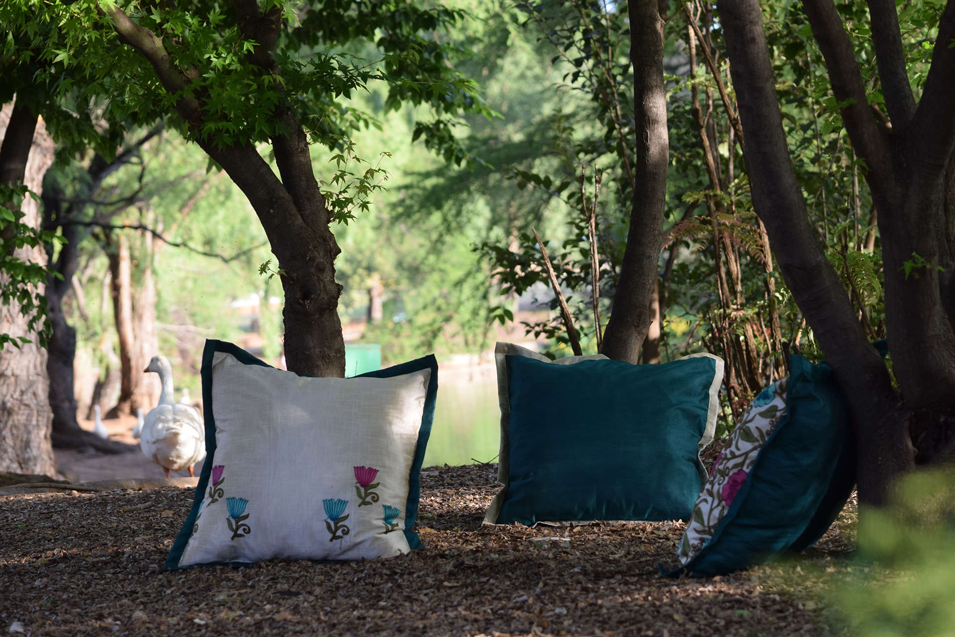 Scatter Cushion - Image 4